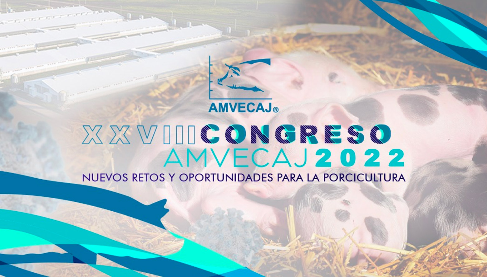 XXVIII Congreso AMVECAJ 2022